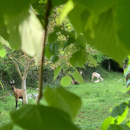 La Prairie Villa Korenica Dış mekan fotoğraf
