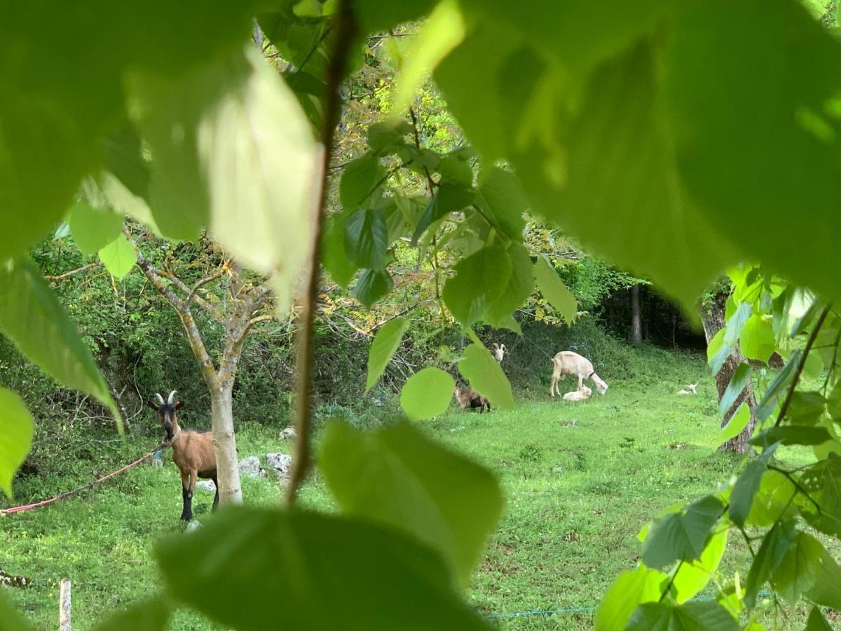 La Prairie Villa Korenica Dış mekan fotoğraf