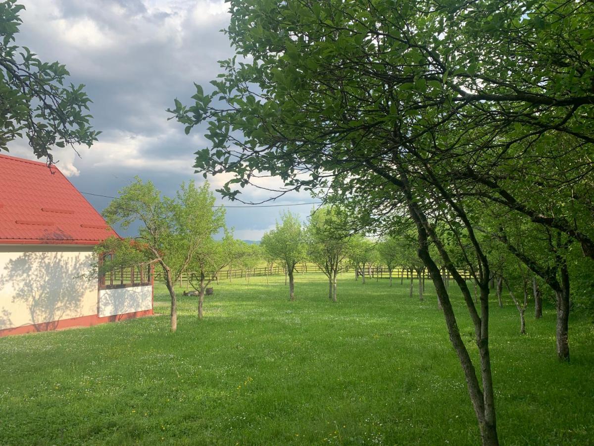 La Prairie Villa Korenica Dış mekan fotoğraf